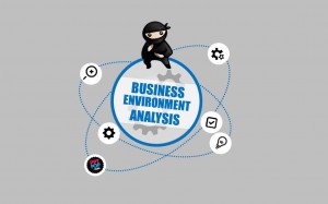 Business environment analysis
