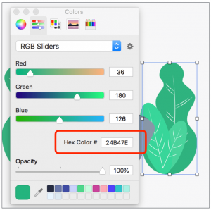 Shape Color Change